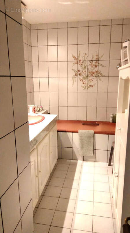 SDB - Maison à LIZANT