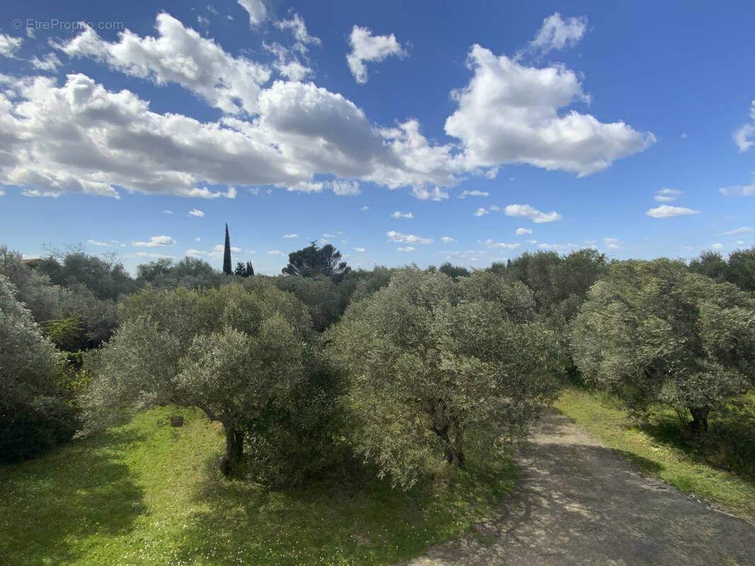 Terrain à UZES
