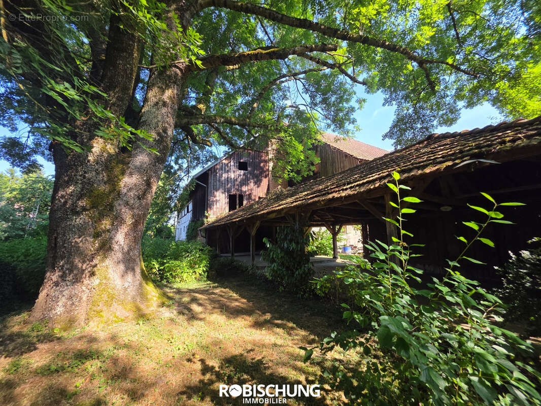WOLFERSDORF : Magnifique corps de ferme - photo 10