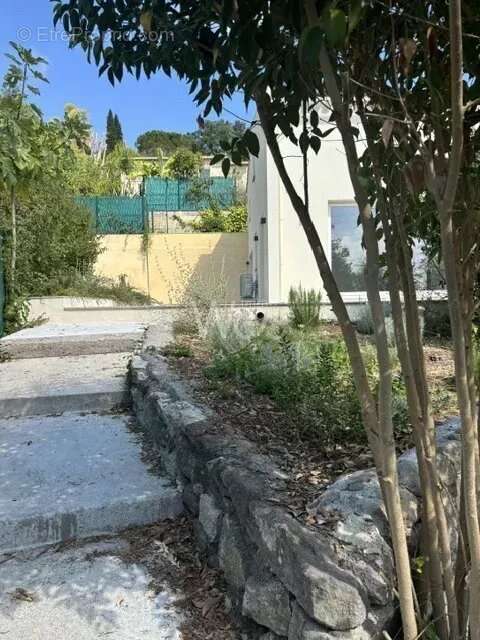 Biot vignasses - photo 2