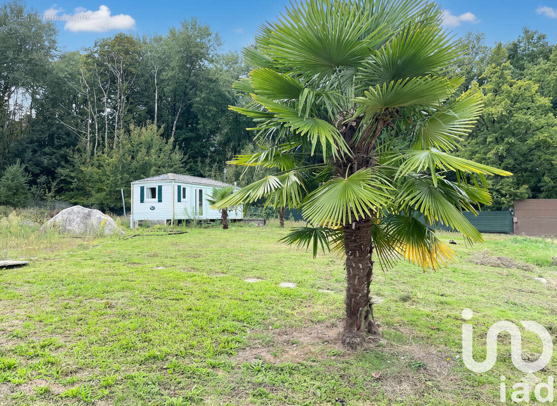 Photo 2 - Maison à LA CHAPELLE-SAINT-LAUD