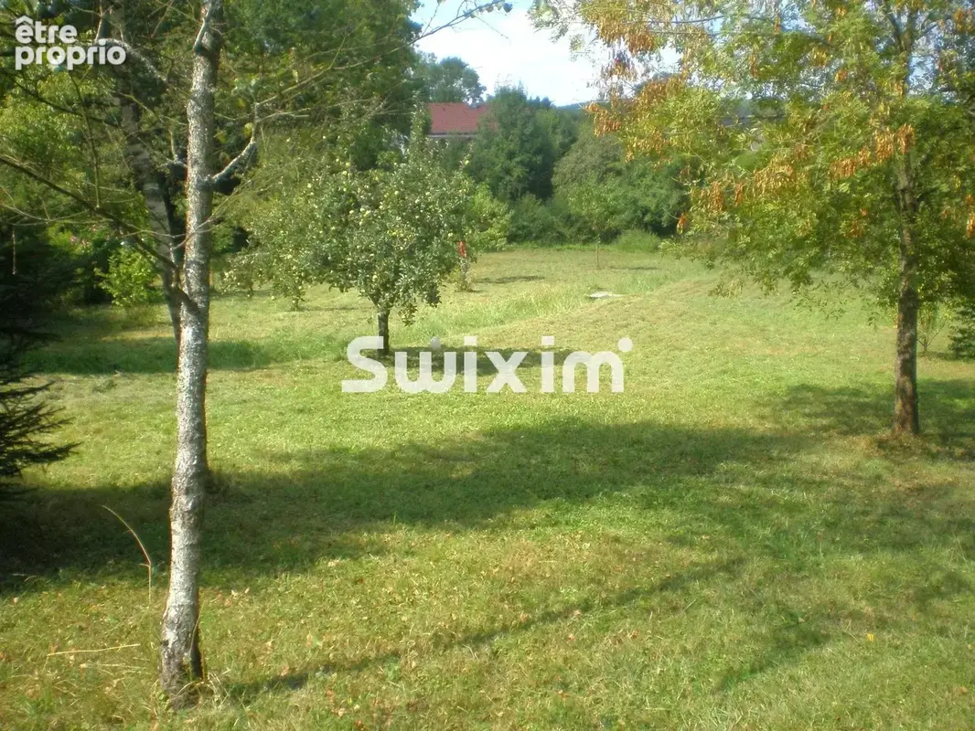 Beau terrain constructible de 2046 m² - photo 4