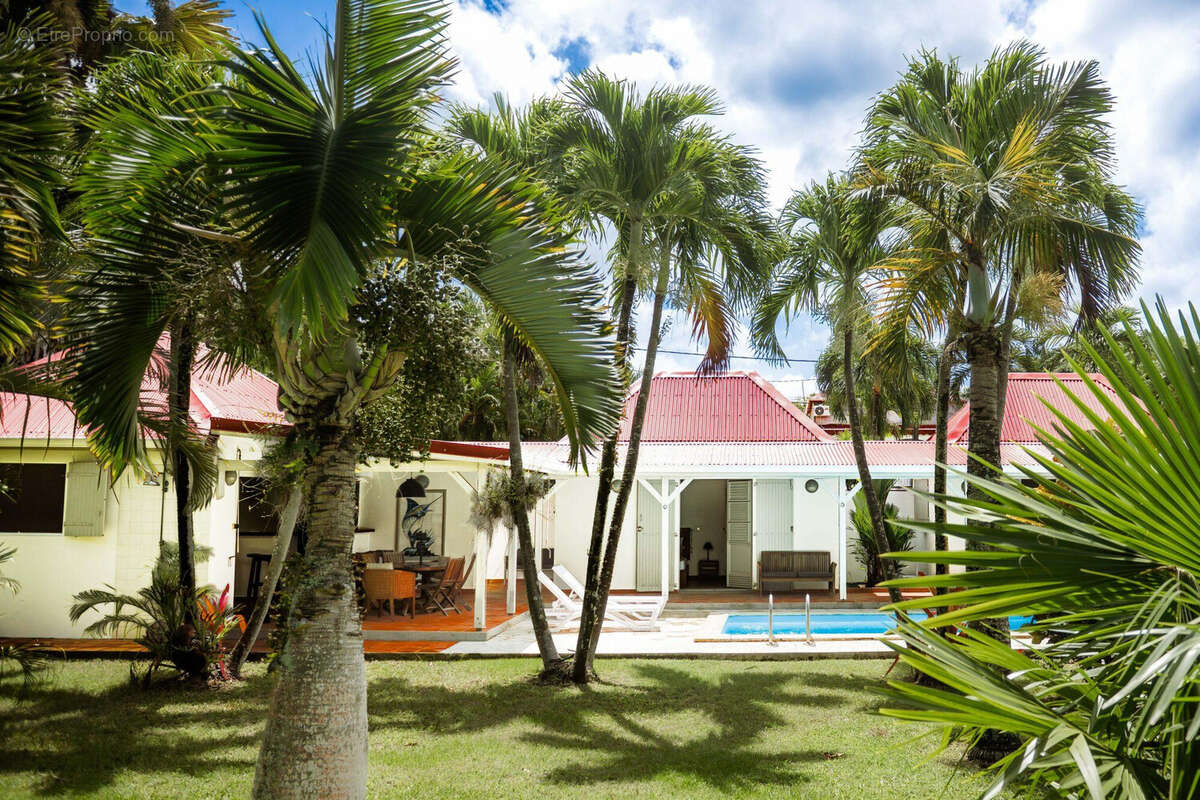 La villa principale dans sa palmeraie - Maison à BOUILLANTE