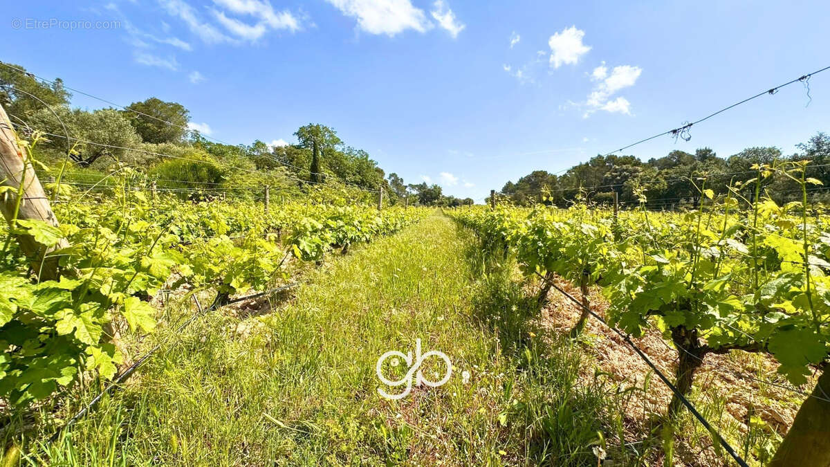 Domaine viticole de 60 hectares entre sommières et montpellier - photo 5