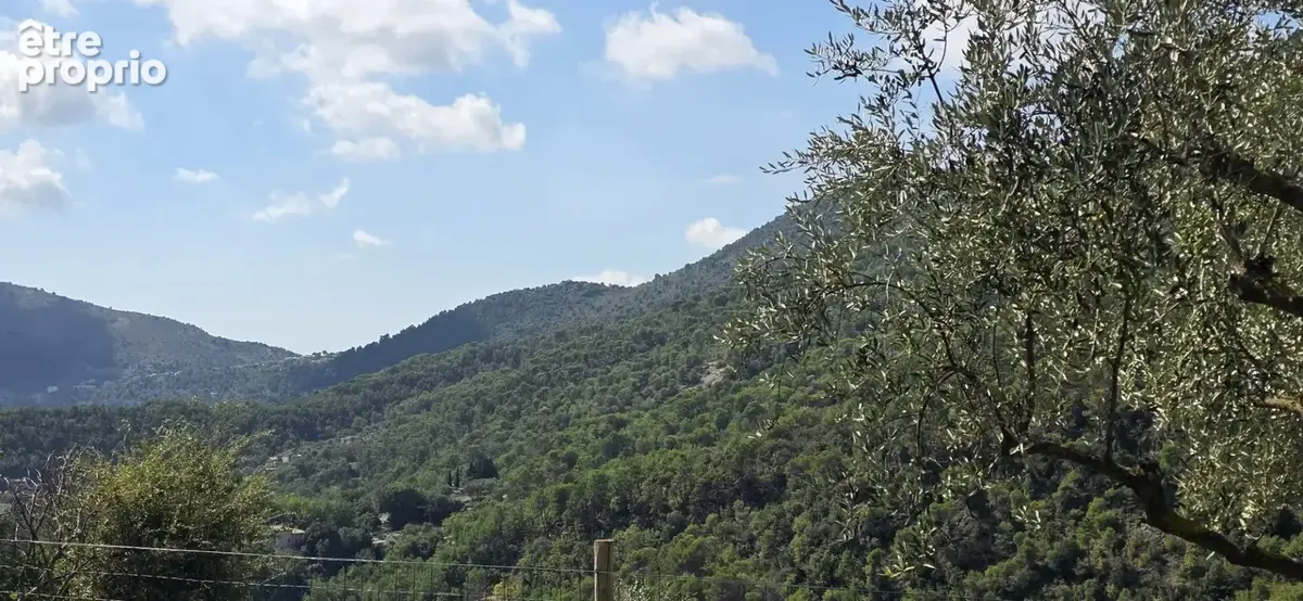 Tourrette-levens  terrain constructible d'environ 3 000 m² - photo 2