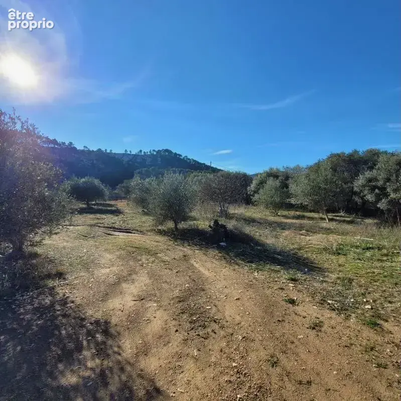 Terrain à CUGES-LES-PINS