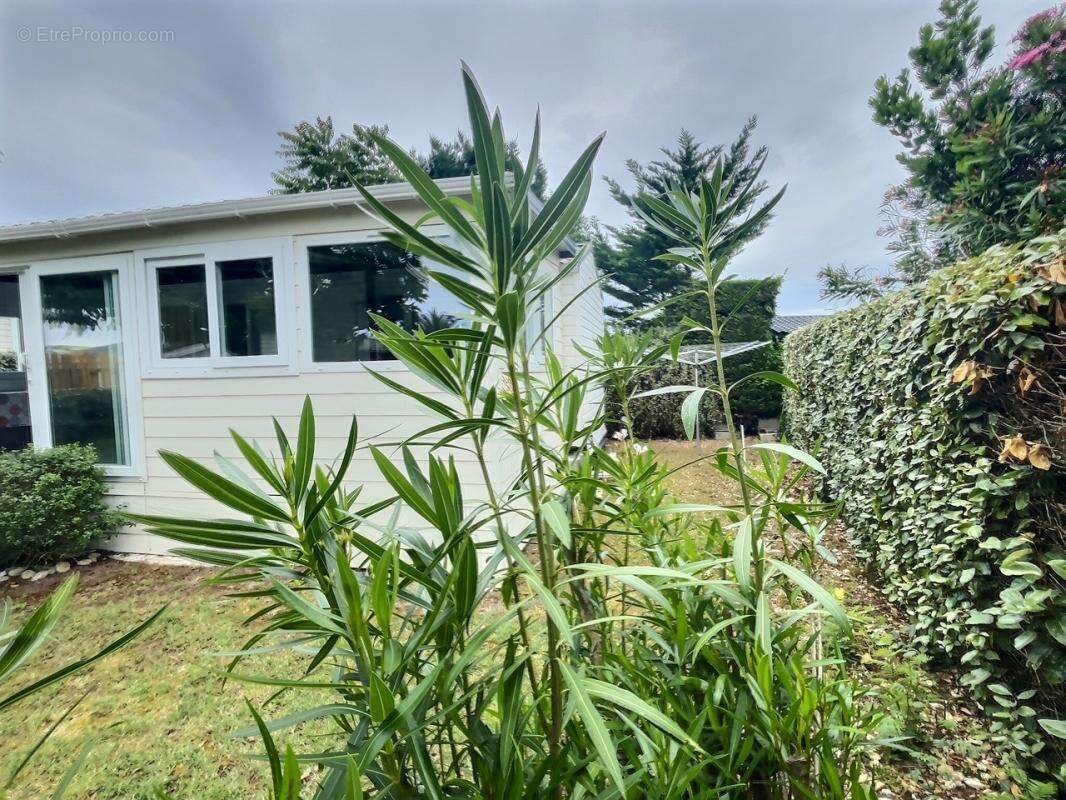 -17650 - Terrain de loisirs Saint Denis D'Oleron 215 m2 - Ile d'Oléron - - photo 11