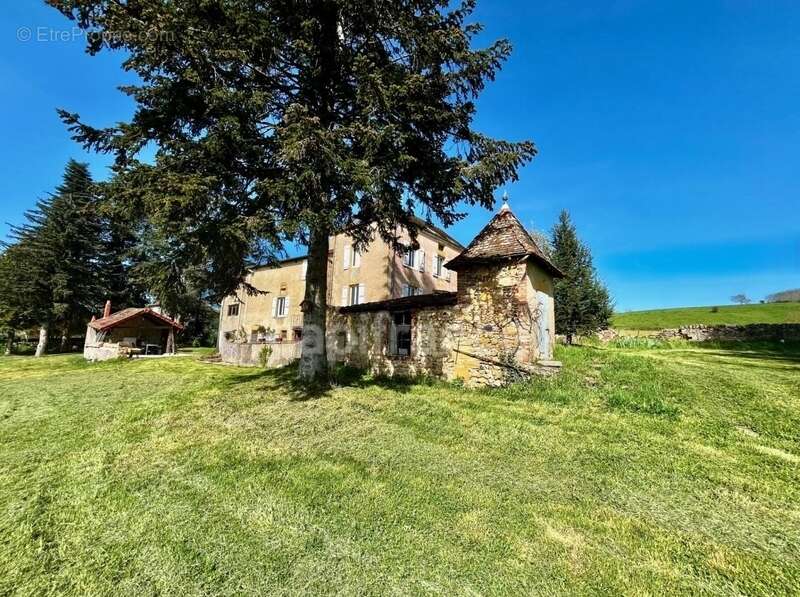 Saint-Pierre-la-Noaille (42)Grande maison de caractère de 217 m² habitables  et un potentiel d'aménagement jusqu'à 475 m² sur 3  - photo 9