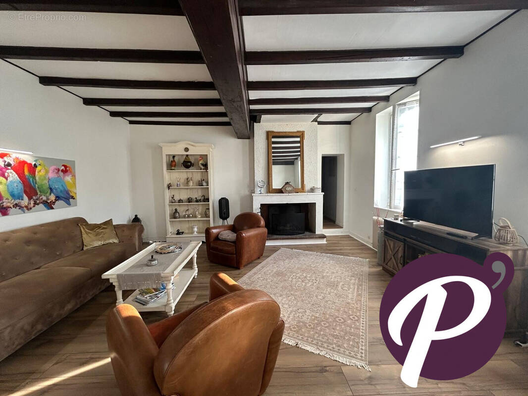 Séjour avec cheminée - Maison à LE FLEIX