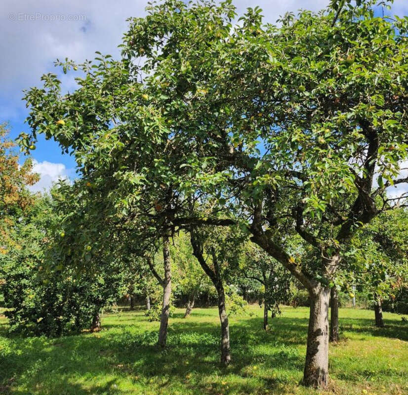 Maison à CHATEAUBRIANT