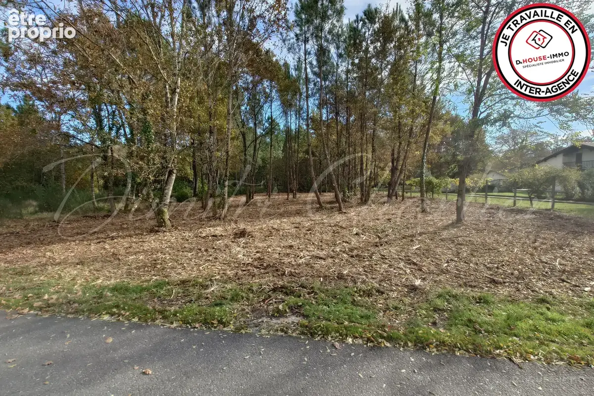 Terrain 1 100 m² à vendre à Saint-Sauveur (33250) - photo 3