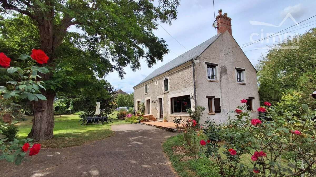 A VENDRE, Vineuil, propriété de charme avec chambres d'hôtes, gites et piscine - photo 2
