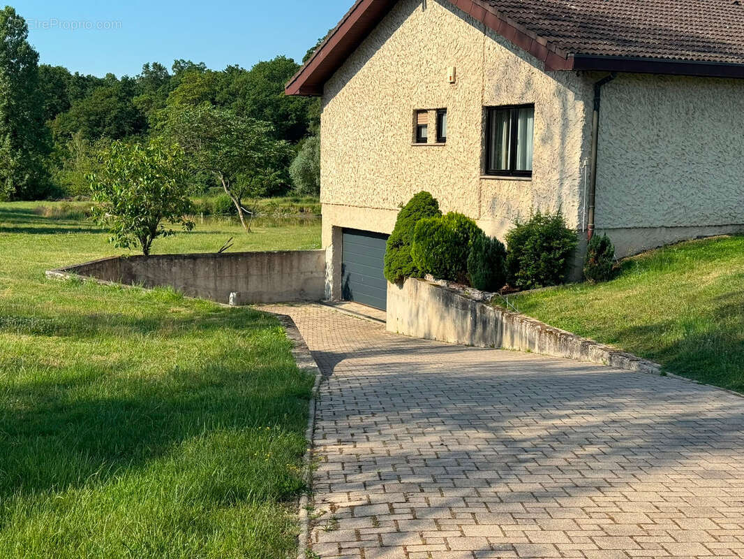 Propriété avec étangs, maison de plain pied au cœur de 3 hectares - photo 7