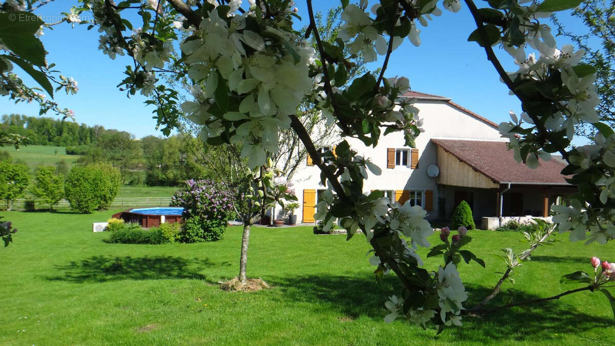 Maison à VILLE-SUR-ILLON