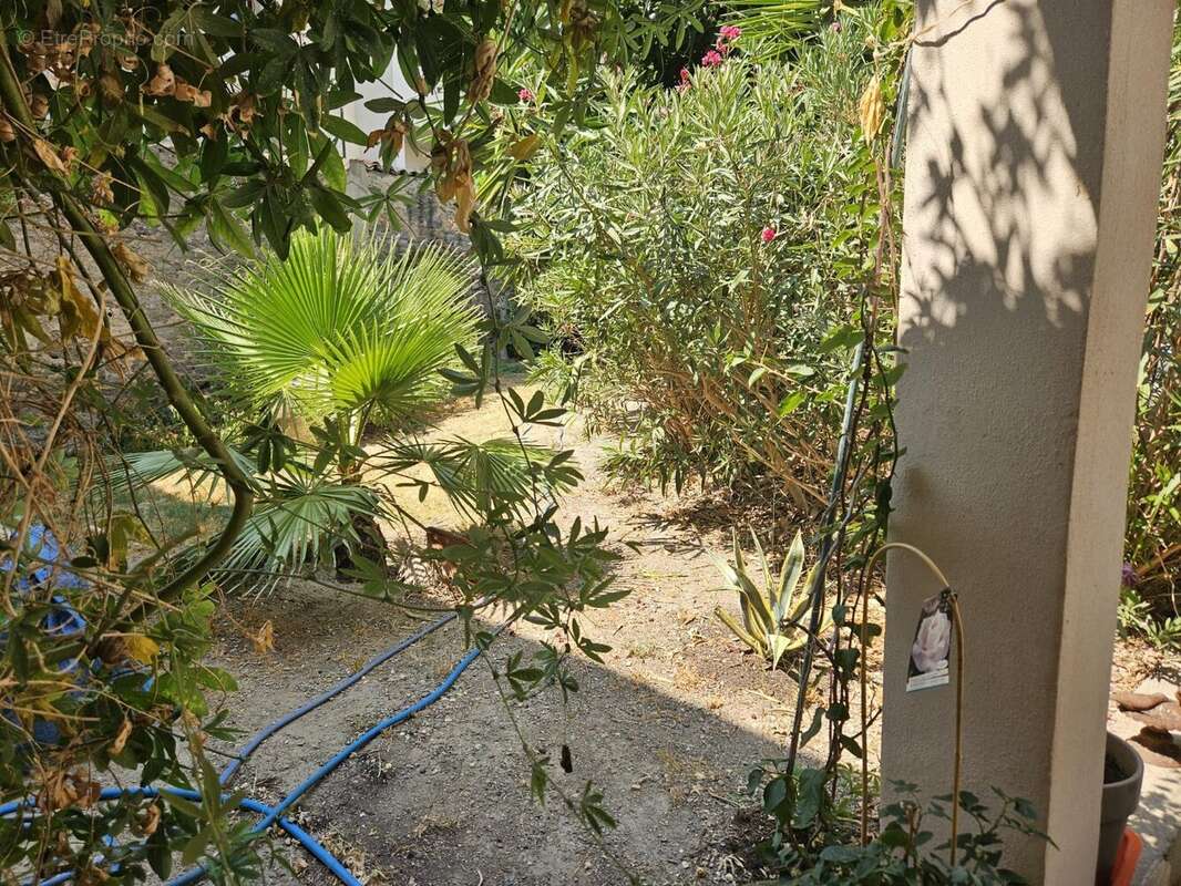 Maison de caractère, grand garage, terrasses et piscine - photo 30