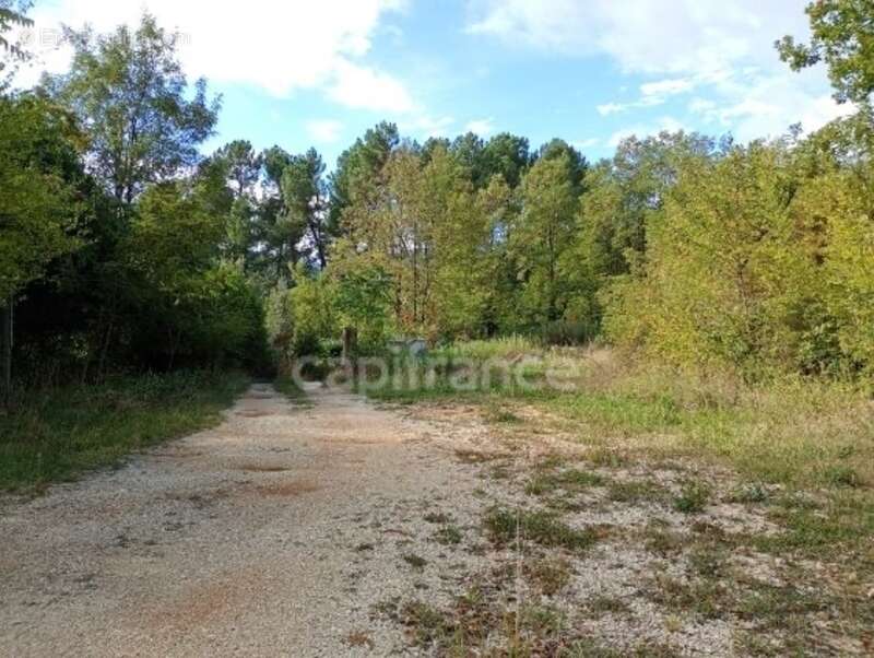 Terrain à vendre de 1 935,00 m² SAINTE CECILE D'ANDORGE (30) - photo 4