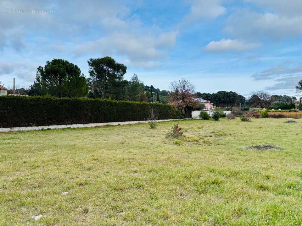 Terrain 1000 m² à Gareoult  - photo 5