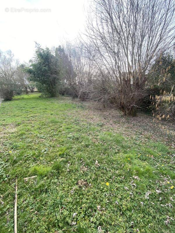 Terrain à BONREPOS-SUR-AUSSONNELLE