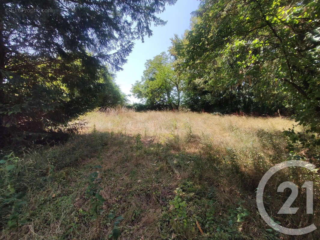 Maison 3 pièces 72 m² à vendre à Ciez (58220) - photo 10