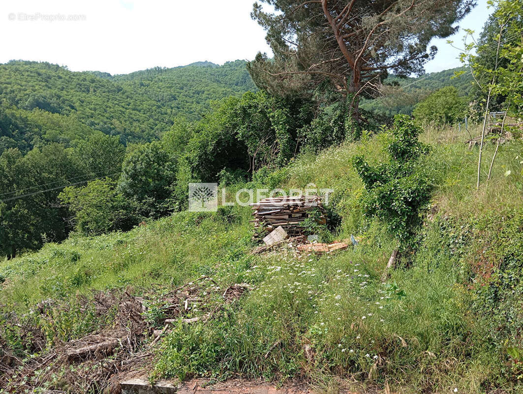 Maison à SERRALONGUE