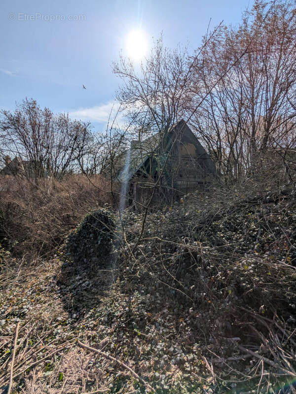 Maison à VIGNEUX-HOCQUET