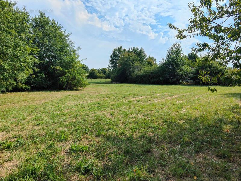 Terrain à SAUZE-VAUSSAIS