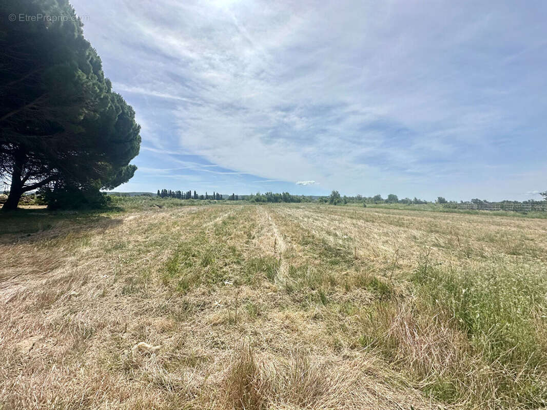 Terrain à NARBONNE