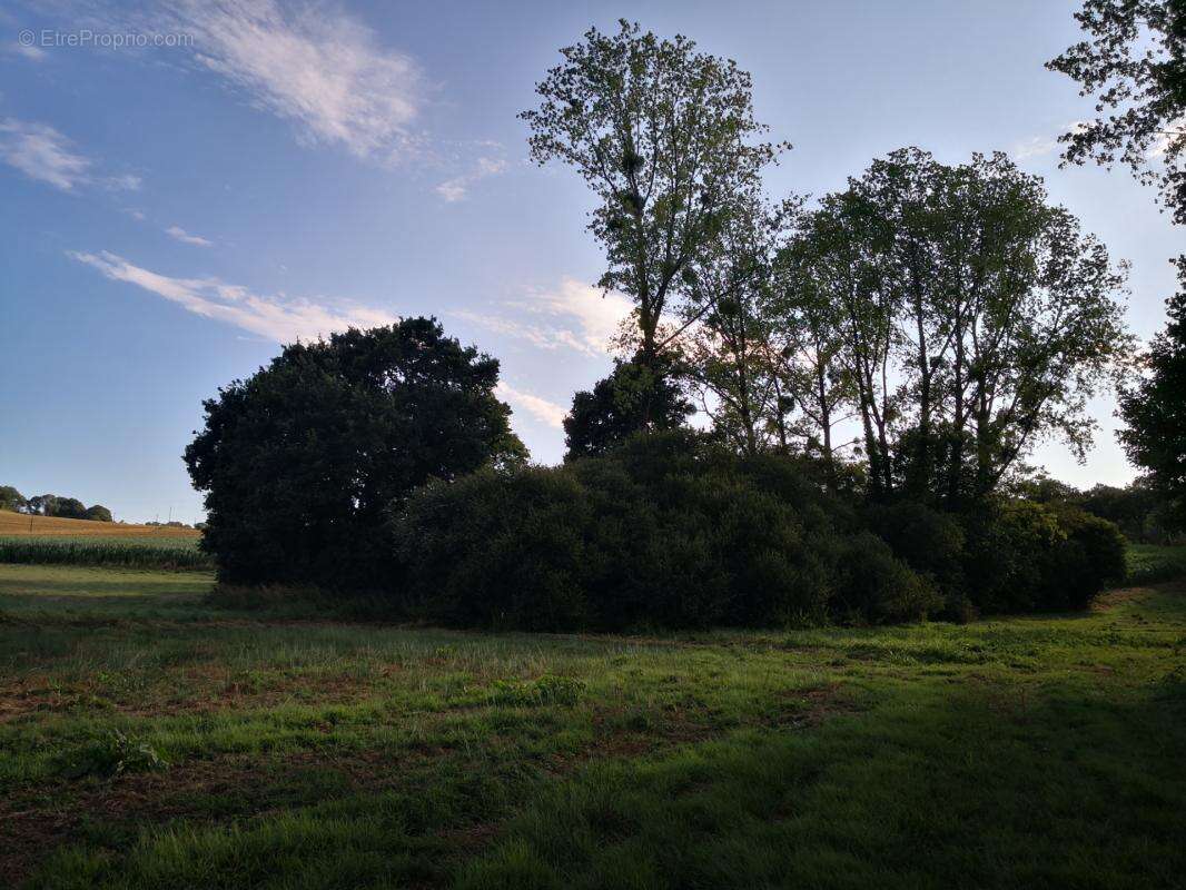 Découvrez ce joli corps de ferme isolé offrant un cadre exceptionnel et un potentiel rare, implanté sur 7,5 hectares de terrains - photo 18