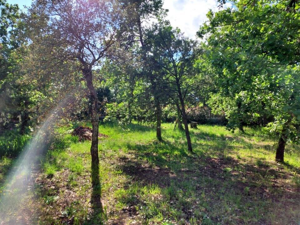 Terrain à LE CANNET-DES-MAURES