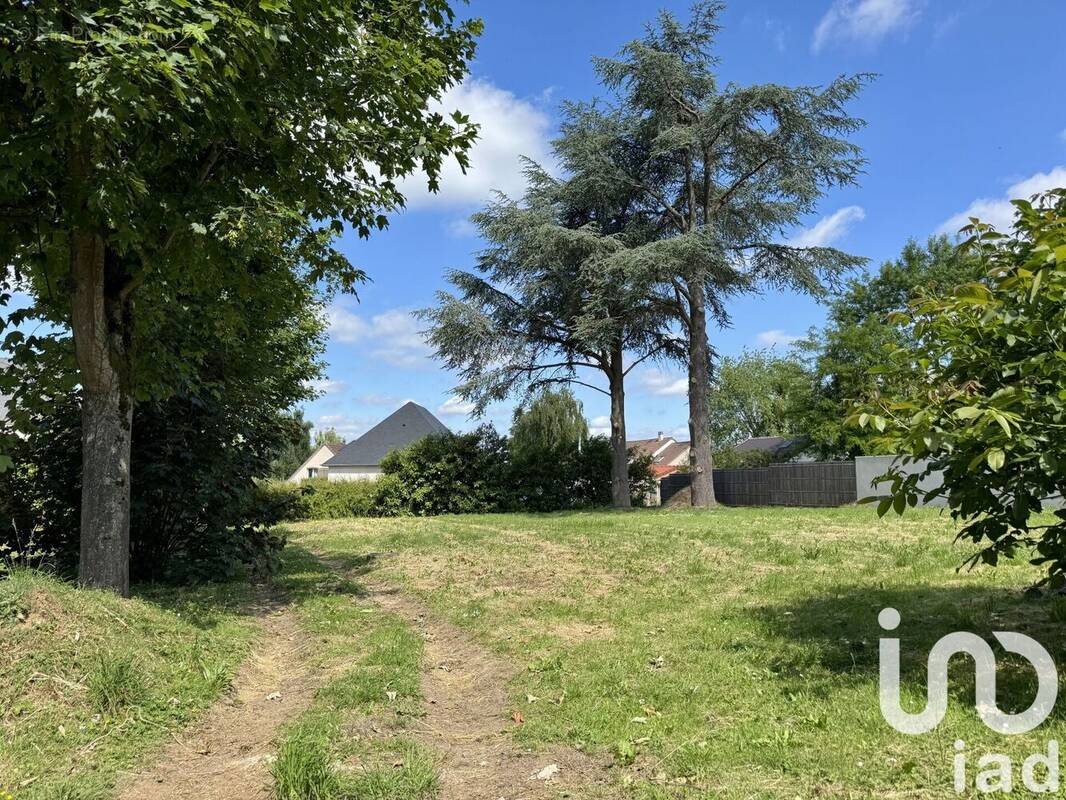 Photo 1 - Terrain à NOISY-LE-ROI