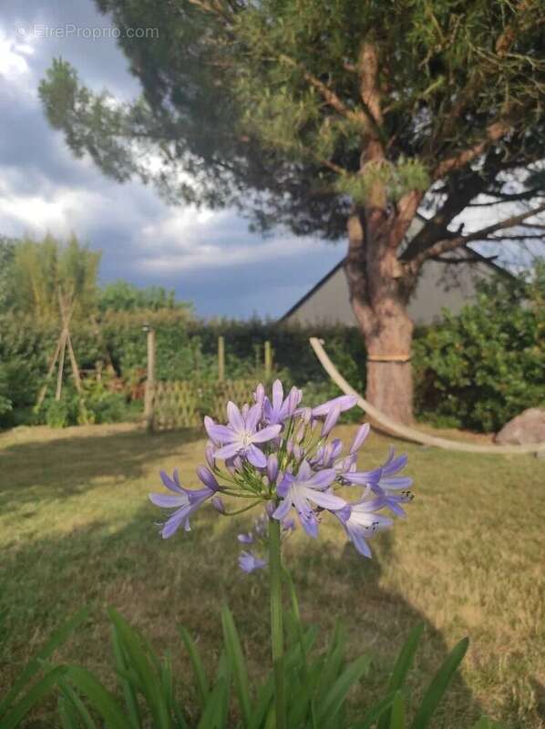 Maison à MAUVES-SUR-LOIRE