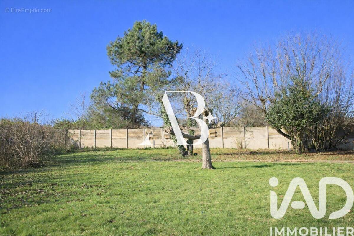 Photo 1 - Terrain à SAUCATS