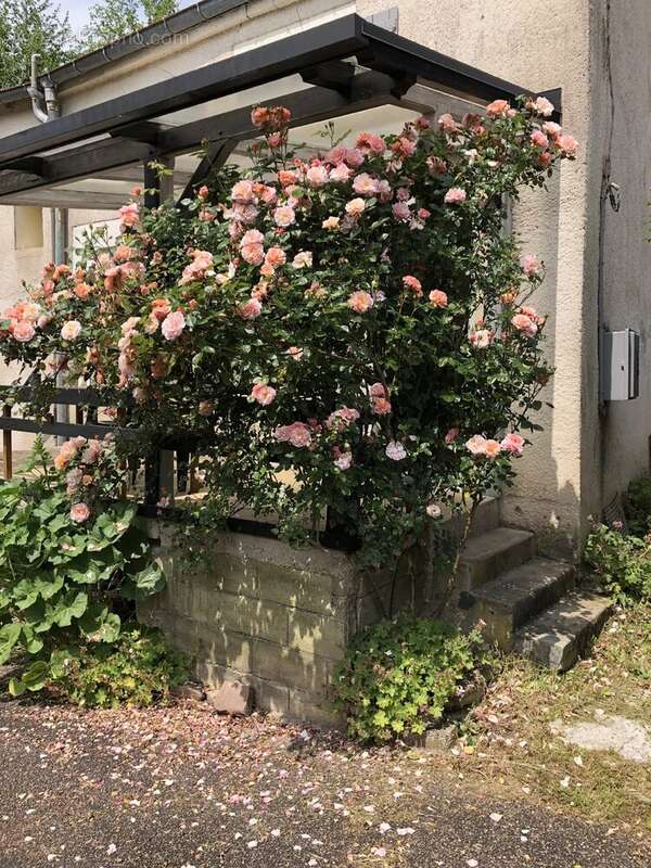 Charmante maison individuelle avec jardin en Haute-Saône. - photo 6