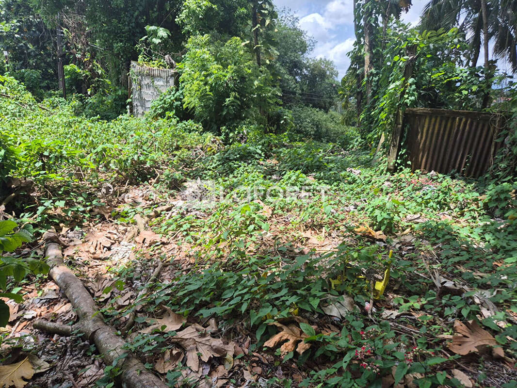 Terrain à LE LAMENTIN