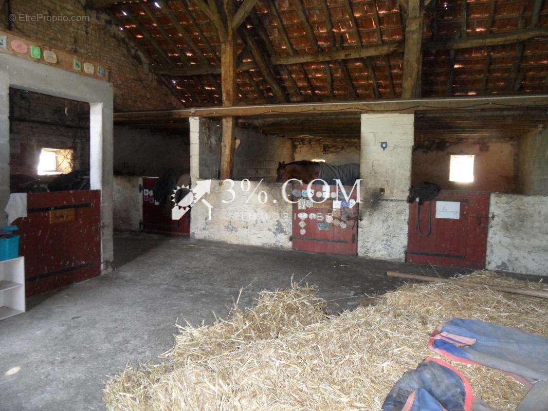 3%.com belle propriete sur 13306 m2 - photo 14