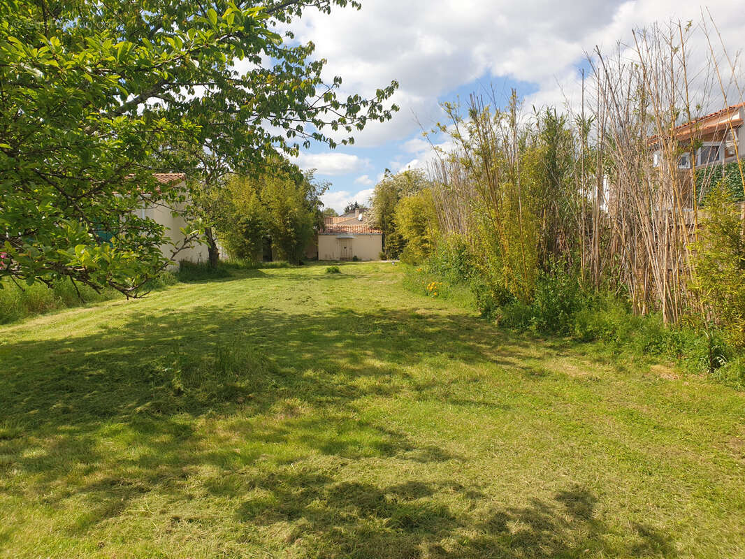 Terrain à COGNAC