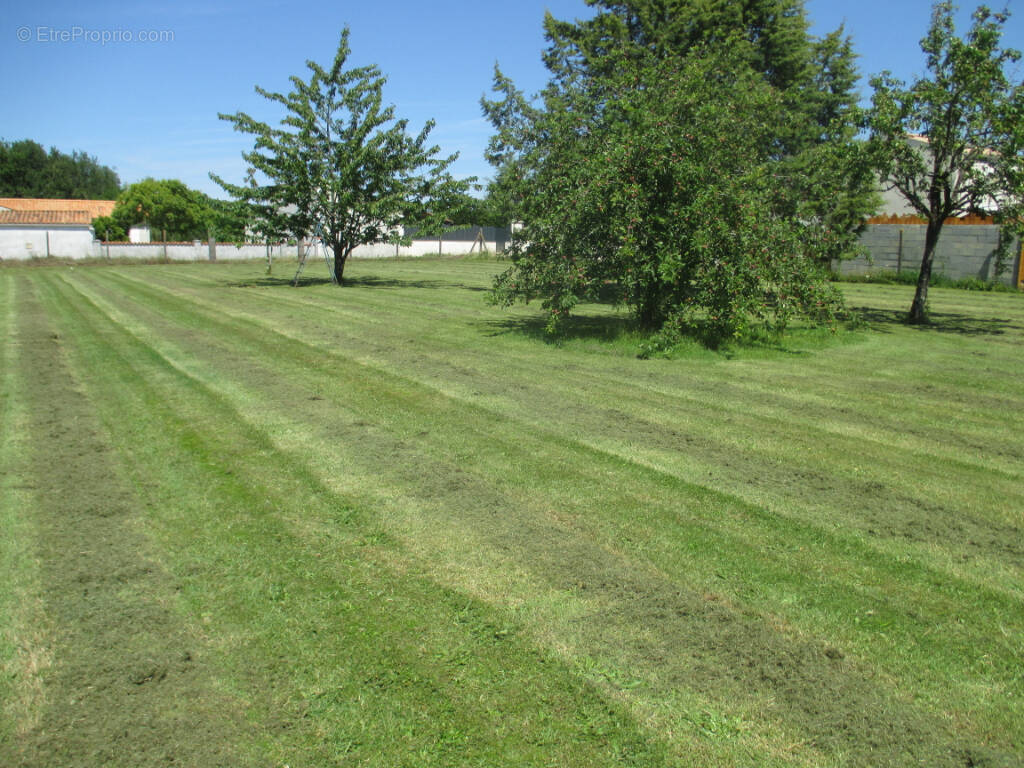 Terrain à LE DOUHET