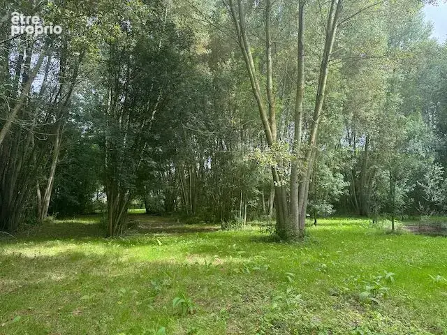 Terrain 8 023 m² à vendre à Thire (85210) - photo 2