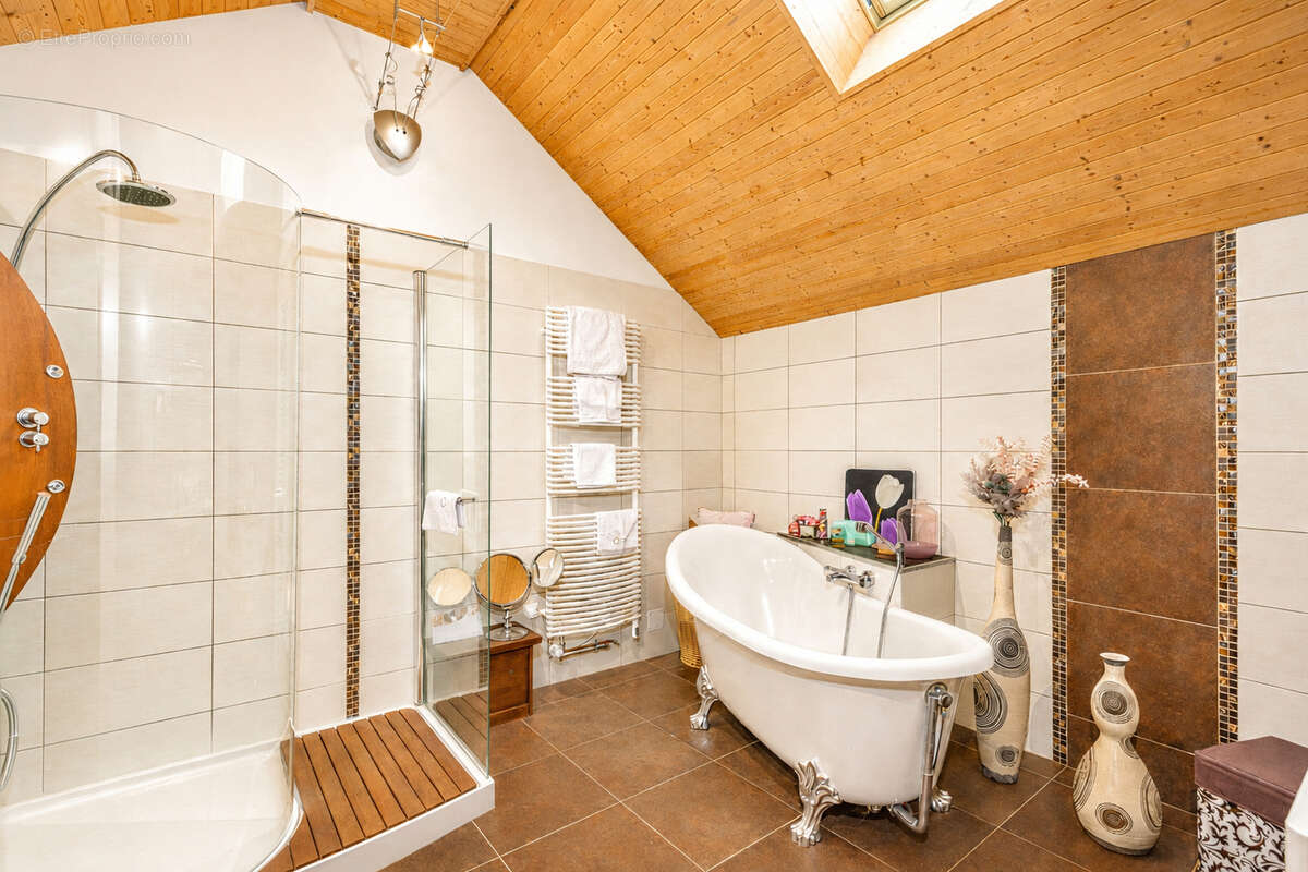 Maison de caractère en pierre - Volumes exceptionnels et art de vivre - Double garage - Bassin naturel - photo 8