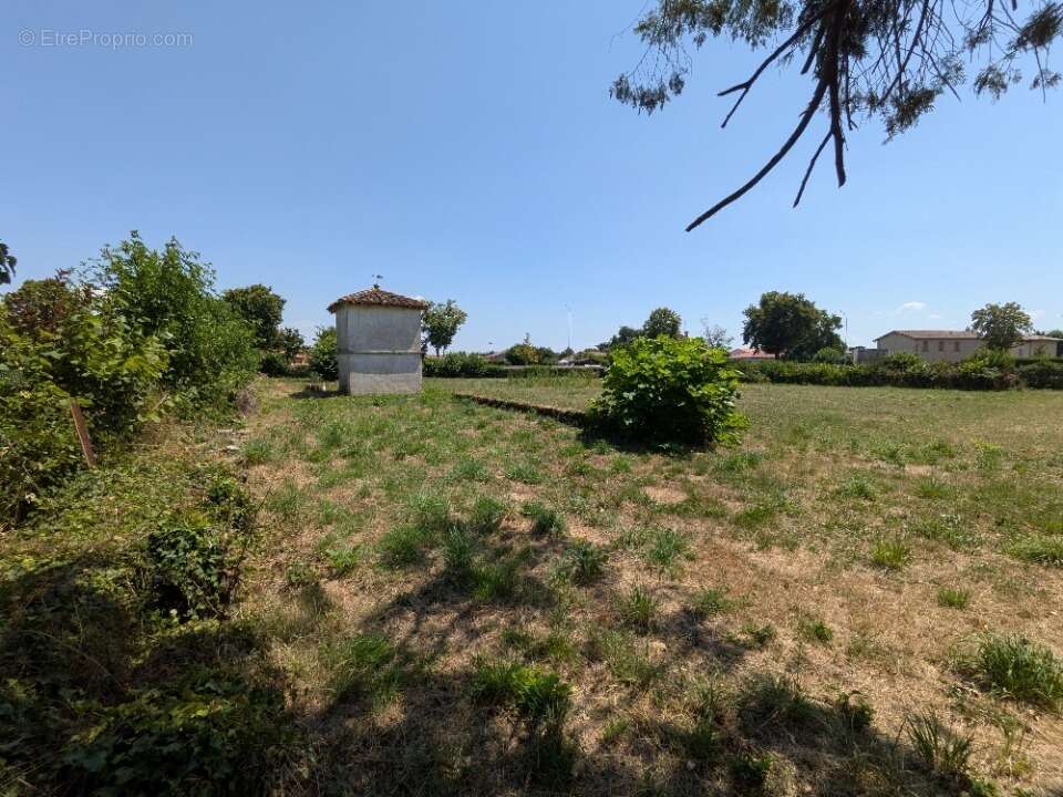 Terrain 840 m² à Saint-Didier-Sur-Chalaronne  - photo 4