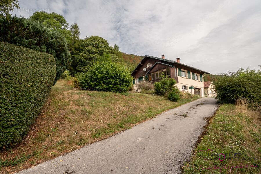 Jougne maison grand terrain proche douane - photo 13
