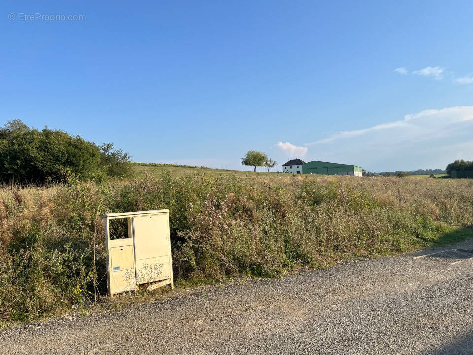 Terrain à BEYREN-LES-SIERCK