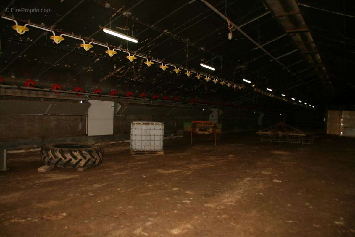 Vente Bureau-local Josselin(56120) 44 000ï¿œ - photo 6