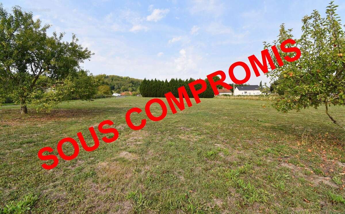 Terrain à CREUZIER-LE-NEUF