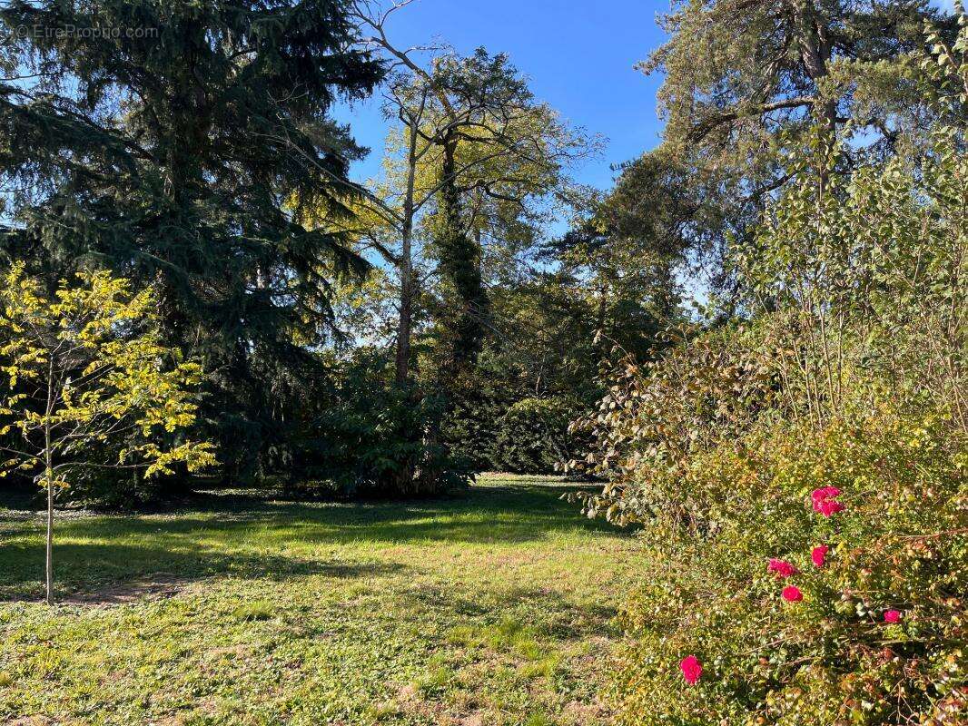 Maison à SAINT-DENIS-EN-VAL