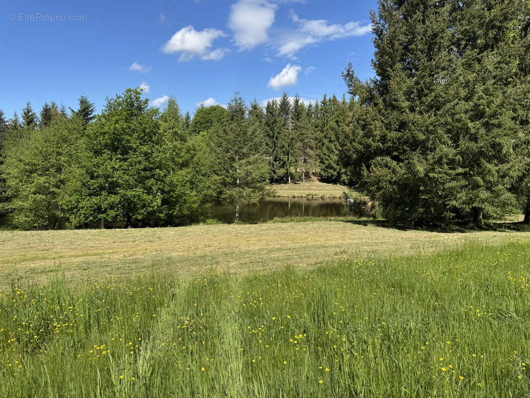 Terrain à LORMES