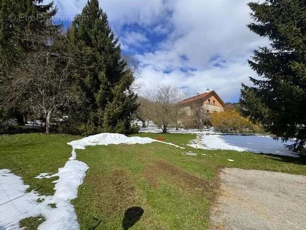 Terrain à SAINT-THEOFFREY