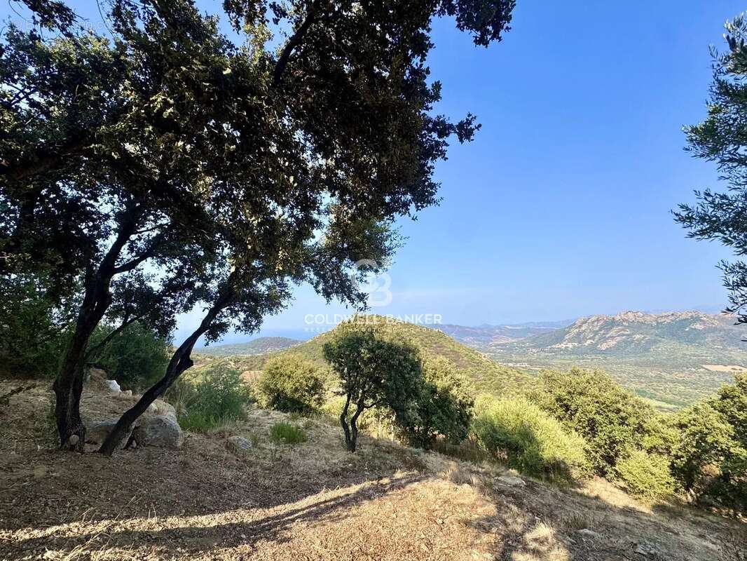 Terrain à MONTICELLO