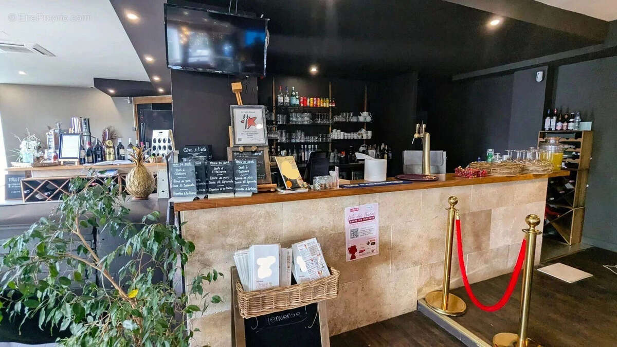 Un bar moderne avec un comptoir en bois, des étagères de bouteilles, et une plante verte. - Autre à AGEN