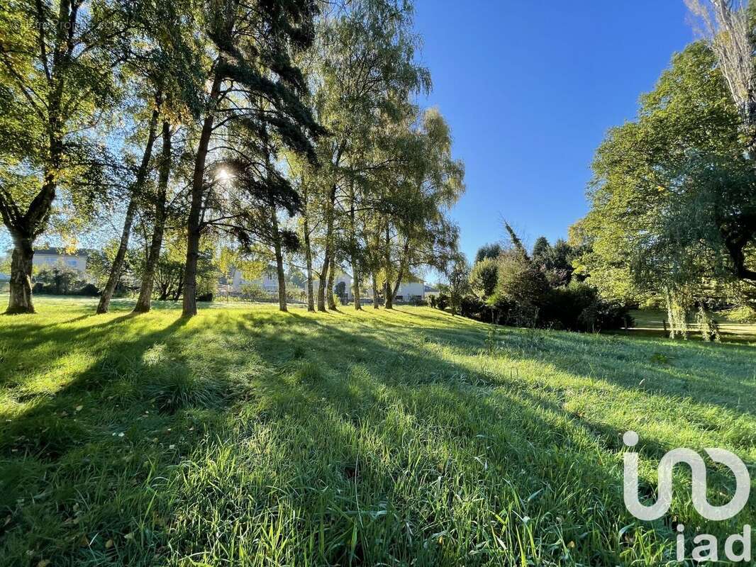 Photo 4 - Maison à PEYRAT-LE-CHATEAU